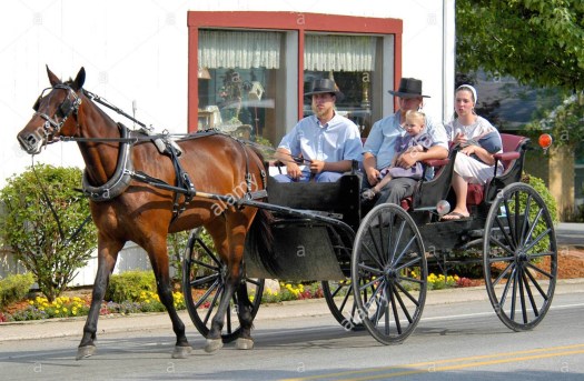 amish-family-riding-in-an-open-horse-drawn-buggy-in-shipshewana-indiana-a0hk1p.jpg