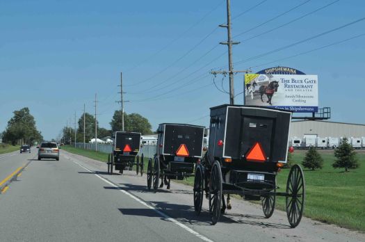 c4800bbfa06b1988a2e4a15358473cf9