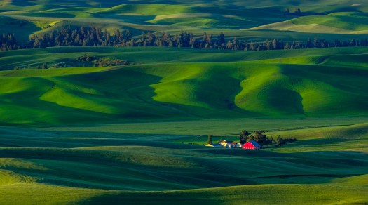 palouse