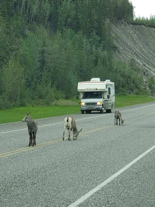 64956019_10158036933852366_2133353824071450624_n