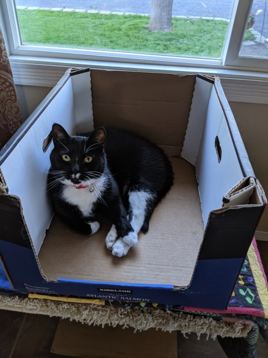 img_20190603_191618-1