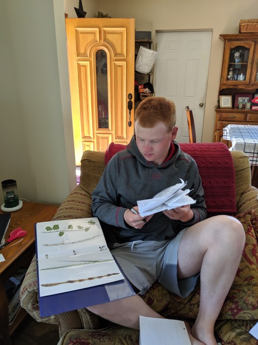 mvimg_20190609_100035