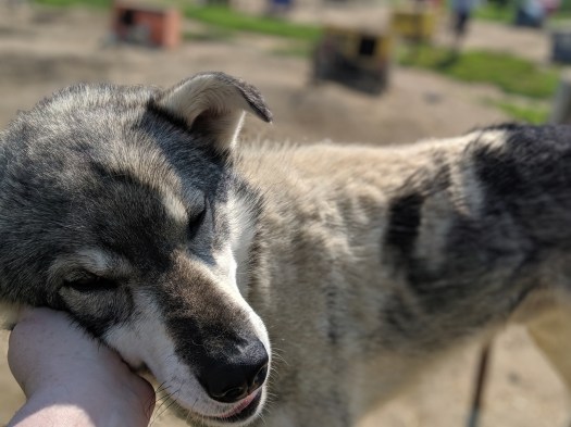 00100lportrait_00100_burst20190627115518478_cover