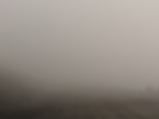 00100lportrait_00100_burst20190701091305126_cover