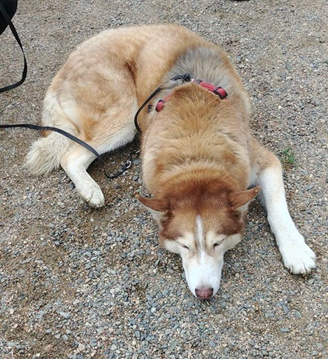 66418667_2272214292896883_7368986221378273280_n