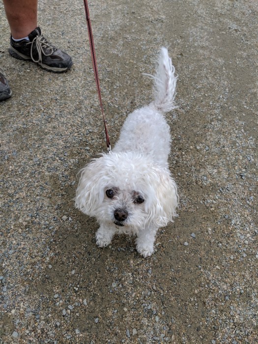 mvimg_20190702_103039