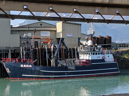 mvimg_20190705_081347