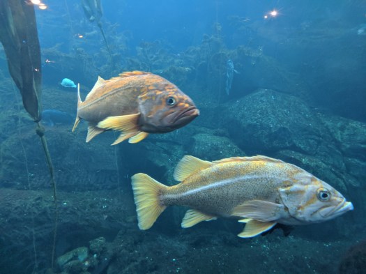 mvimg_20190709_111143