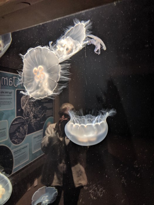 mvimg_20190709_112221