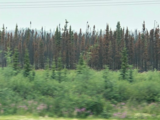 c36fe5bb-1fbb-4353-b528-fc38c47e7a3e